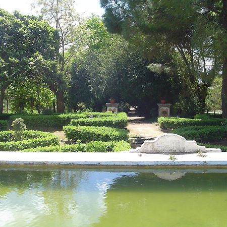 Hotel Rural Quinta De Santo Antonio Elvas Eksteriør billede